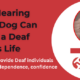 How a Hearing Service Dog Can Change a Deaf Person's Life